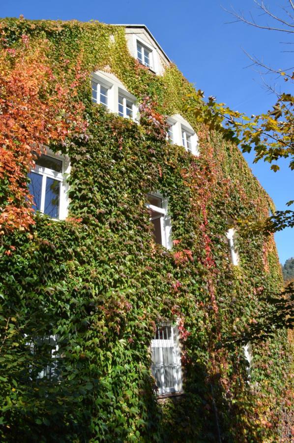 Burg Schoena Schmilka Kültér fotó
