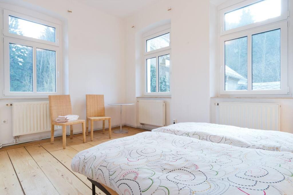 Burg Schoena Schmilka Kültér fotó